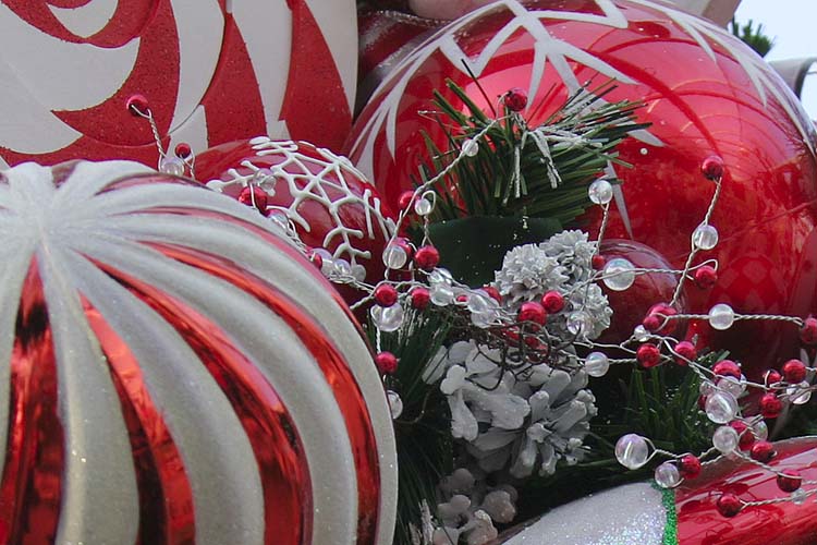 Red & White